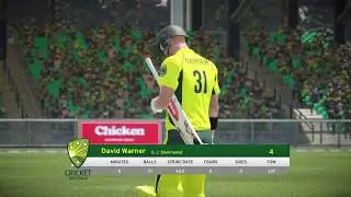 Taking wickets in Don Bradman Cricket 17