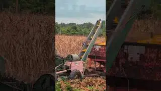 New Idea Harvester behind John Deere 6E #familyfarm #harvest #corn #picker