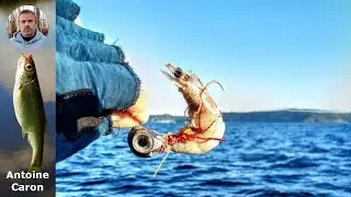 Retour de session : P&ecirc;che d'&eacute;t&eacute; au tenya et astuces pour s'amuser tout en p&ecirc;chant !