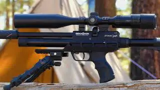 Air Rifle tree squirrel hunt trip