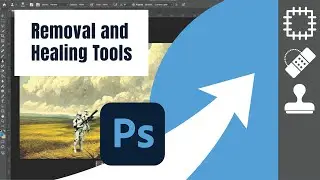How to use Clone Stamp and Removal Tools in Photoshop