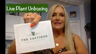 The Cactique live plant unboxing-Spreading the Happiness of low-maintenance plants #cactus #unboxing