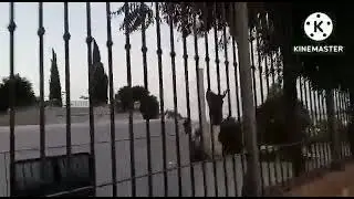 نهاية اسبوع موفقة