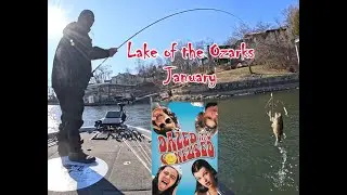 Lake of the Ozark - January Bass Fishing