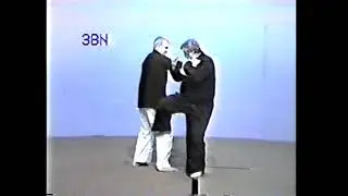 Tracy Kenpo Karate Al Tracy Demonstrates 3rd Brown Belt The Phoenix