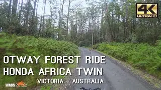4K Otway Forest Ride Honda Africa Twin Motorcycle Victoria