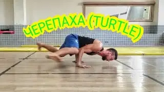 КАК СДЕЛАТЬ ЧЕРЕПАХУ/ДИ-ДЖЕЙ (HOW TO DO TURTLE) (COMO HACER TORTUGA)