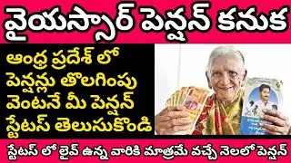 వైయస్సార్ పెన్షన్ కనుక // how to Check YSR Pension Status // Pension Status // ysr pension kanuka