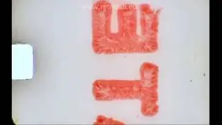 ‪Cola de laboratorio revelado Super 8mm Kodak - Leader Tape Super8 processing