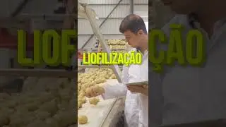 Batatas Fritas: O segredo oculto da NASA