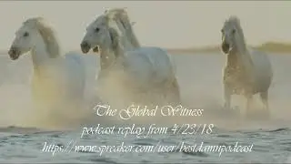 PODCAST REPLAY-THE HARD QUESTIONS FOR THE GLOBAL WITNESS