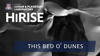 HiRISE Mars 4K (NASA): This Bed o’ Dunes