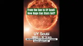 From the Sun to UY Scuti: How Huge Can Stars Get? Space #Universe #Science #Sun #Pollux #Arcturus