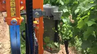 Provitis Entlauber mit hydraulischer Abtastung