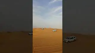Desert Safari DIY in AL Ain
