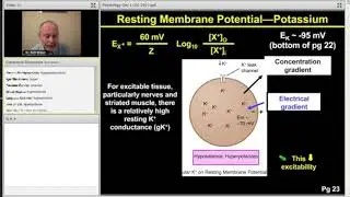 Membrane Potential - Step 1 Physiology