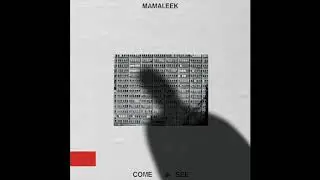 Mamaleek - Cabrini-Green