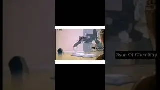 TOM AND JERRY  #gyanofchemistry #funny #chemistry #meme #science #comedy #viral #shorts