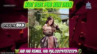 Koj tsis pub kuv deev remix 🐥🐥🐥[aib hai remix]