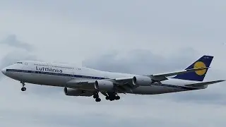 RETRO | Lufthansa Boeing 747-8I landing at Frankfurt Airport