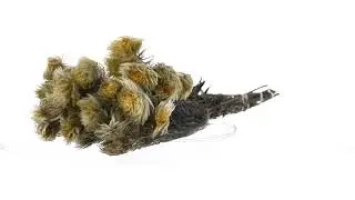 Vickerman 15-18