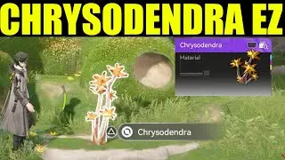 Arknights Endfield - как получить хризодендру (места фарма)