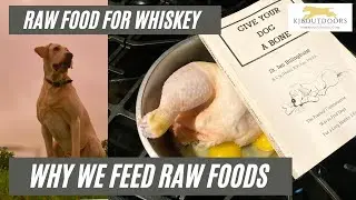 Raw Food For Whiskey: Introduction