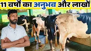 #मिर्जापुर के दो भाइयों का सफल डेरी फार्म 200 लीटर दूध रोज #dairyfarm #dairybusiness 