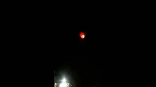 Globos 3