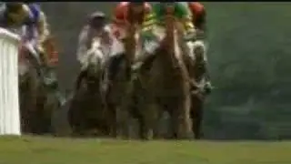 Irish Horse Racing 7min Documentary