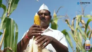 Delegate Corn Testimonial | Marathi