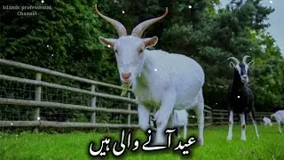 coming soon bakra eid ul adha status || coming soon bakra eid Status 2021 || eid mubarak status
