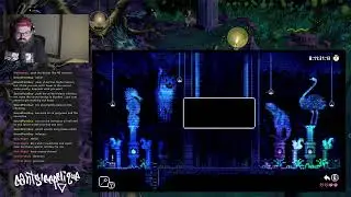 kangcantsleep plays Plays Animal Well