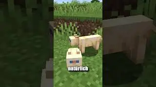 Minecraft Tiere bekommen NEUES AUSSEHEN! 🥺