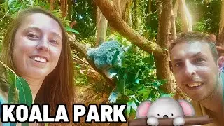 Sydney, Australia | We go to Koala Park, to get up up close with the Animals