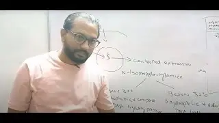 Gene transfer in animal cells by  Calcium phosphate and polycation complex (polyplexes)