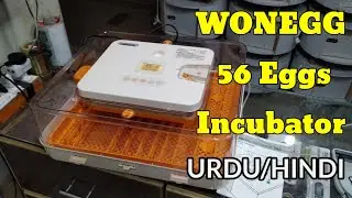 wonegg 56 eggs fully automatic incubator review Urdu/Hindi