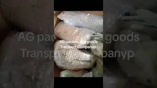 AG packers and movers in sector XX Phase 3 DHA Lahore