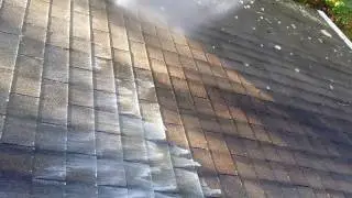 Applying cleaner for Roof Mold removal