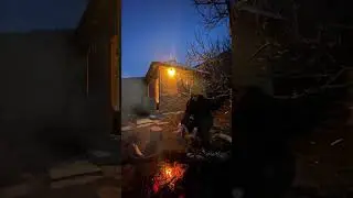 Our Stay in Sainj Valley for just Rs 2k!
