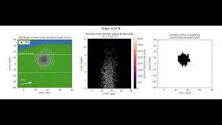 Random Walk Simulation of Amazon Forest Fire Plumes