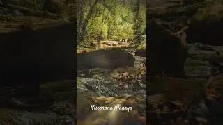 #Meethirigala #NissaranaWanaya #srilanka