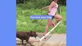 The Most Convenient Dog Walking System: Fable Magic Link