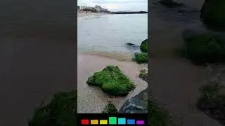 A stone covered with green algae on a sandy beach and a quiet splash of waves #shorts