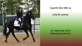 Freude am Turnierreiten: Caprilli 1a mit unserem Friesen