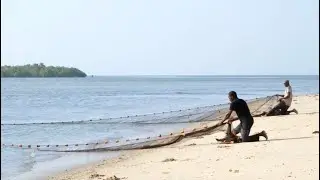 Wildlife in Crisis: Local Fishermen Reveal the Truth | Wildlife Documentary | Natural History
