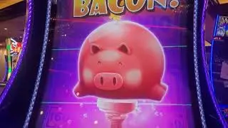 Finally a decent win on Piggy Bankin Break in! Let's go? 🥰👏❤️. 2 cents $3.20 bet! #horseshoecasino 