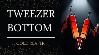 Tweezer Bottom Candlestick | Chart Pattern Basics | Gold Reaper 