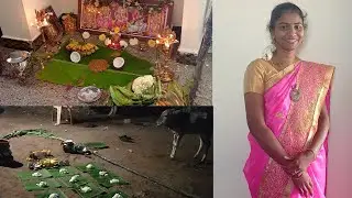 🍯பொங்கல் பண்டிகை/Pongal Celebration Vlog 2022/தைப்பொங்கல் திருநாள்