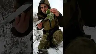 Обед из подмороженной крапивы шортс shorts